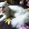 user2111333306039