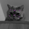tanyao.hunter
