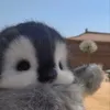 kl_19ap