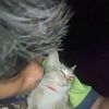 willi.tkr