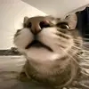msk_77.ru