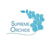 Suan Supreme Orchids