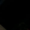 kj_maulzzx