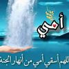 naima.naima437