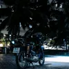 phi.nguyn398