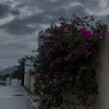 rn__2240