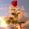noor.noor2509