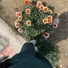 ميمي