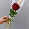 wahiba.hafidh