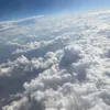 kylie.lawson1