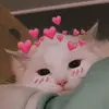 rarachila