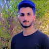 arslanhashmi6494