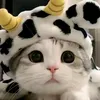 jacairy