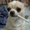 user2751971110493
