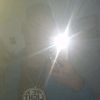 junior_abreujmw