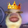 xdin.da
