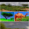 nastexo.dahir.xasan79