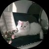 sumu_bbz1