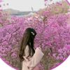 ayesha.sumi3