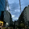 vikii8054