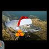 amiraltyn2