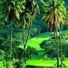 mohamed.fazil812