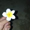 md.alkamal.joarde