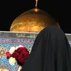 hadimens
