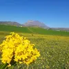 sofiane.mehada