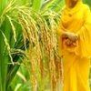 md.billal.hossain810