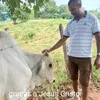 domingoscarmo258