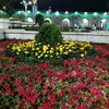 user1136905375123