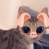 kay.kitkat.kaytebug