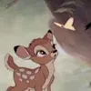 zonjsf