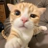 luis_ramirez712