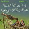 user7485607001183