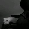 user2926230304287