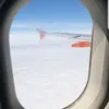 dl123123321
