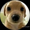 oscar.avilez13