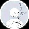 finura011