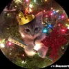 andre._749