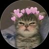 aisha_yy123