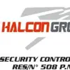 halcon.group