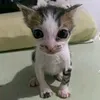 itsnothoneyl