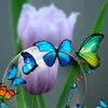 sonia.regina5792