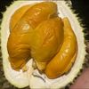 duren.ms.bro
