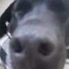 cayleb839