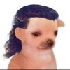 ael_tony