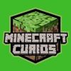 Minecraft Curios