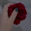 artzxk1
